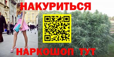 шишки Нарткала