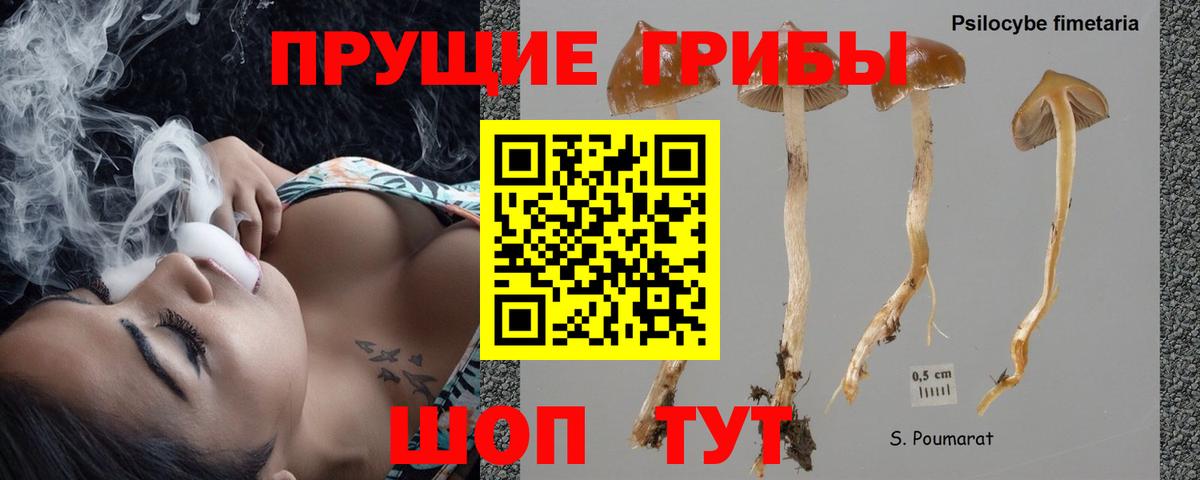 Галлюциногенные грибы ЛСД  Вход с VPN  Псилоцибиновые грибы Psilocybe  Троицк 